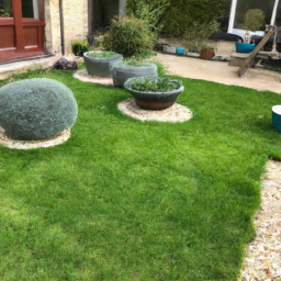 Techniques de taille pour maintenir un jardin esthétique et en bonne santé La Ciotat